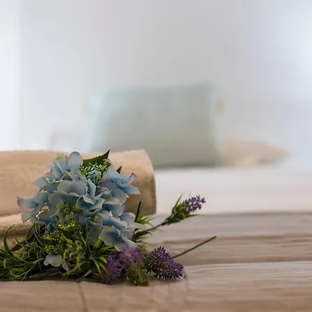 Apartamento Cruz Vieja Centrico 3 *