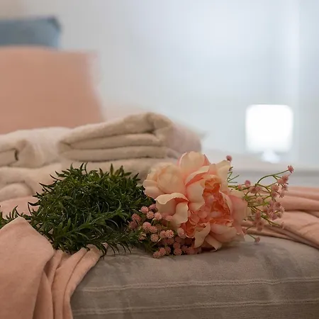 Apartment Cruz Vieja Centrico 3 Jerez de la Frontera