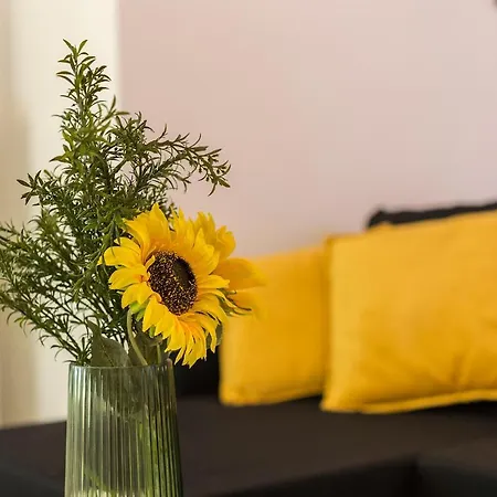 Apartamento Cruz Vieja Centrico 3 *