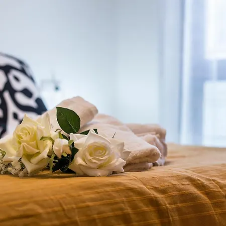 Cruz Vieja Centrico 3 *